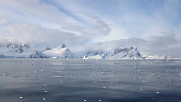 Antarktika'da 'dünyanın en şişman balık üreme kolonisi' keşfedildi