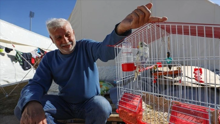 Depremde hasar gören evlerinden kurtardığı muhabbet kuşu 