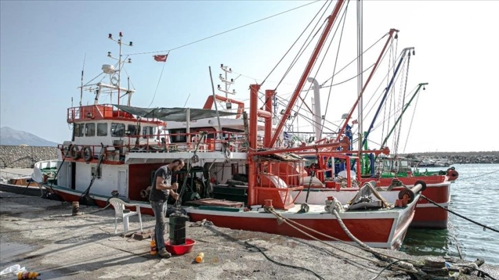 Doğu Akdeniz'de gökçe sularla buluşacak balıkçılar çağ sayıyor