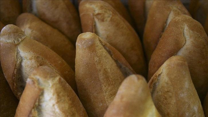Rusya-Ukrayna mücadelesi ekmeği henüz fiyatlı bir duruma getiriyor