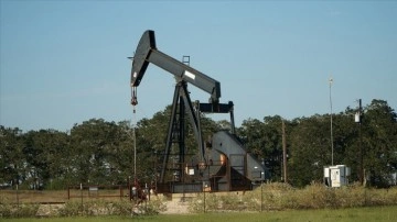 ABD, 2023 petrol fiyatı tahminini üst cepheli rötuşlu etti