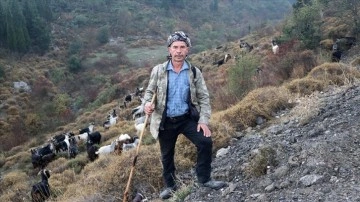 Ağılı site ortamında küsurat çoban, 40 senedir sürüsünün güzergahını değiştirmedi
