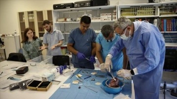 Ankara Şehir Hastanesi ihtisas yetmezliğinde 'Uluslararası Eğitim Merkezi' oldu