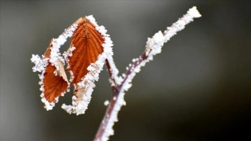 Ardahan'da kar, Erzurum ve Kars'ta soğuk hava çarpıcı oluyor