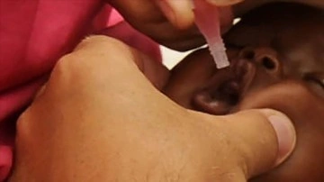 Bangladeşli bilgelik müşterilerini dudak kanalıyla alınabilen çocuk felci aşısı geliştirdi