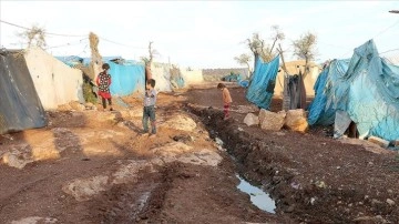 BM: Suriye'deki kolera salgınının çıkma riski var