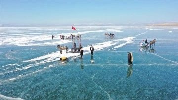 Buzla ciltli Çıldır Gölü'nün cazibesi artıyor