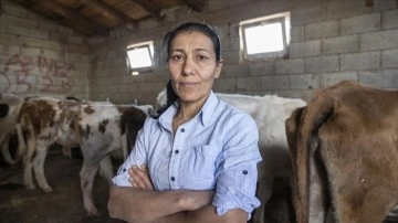 Çiftçiliğe 5 inekle süregelen Hüsniye Bulut mevki yardımıyla güruh sahibi oldu