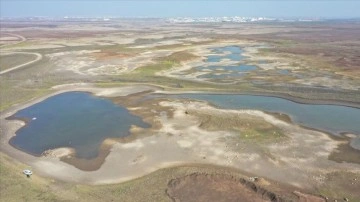 Diyarbakır'da geciken yağışlar göl ve göletlerde yağışsızlık riskine hastalık oldu