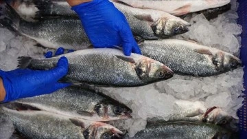 Doğa ve firez balıklarının besin değerlerini karşılaştıran ifade açıklandı