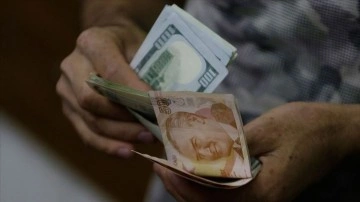 Dolar/TL Cumhurbaşkanı Erdoğan'ın açıklamaları ile yüzdelik 22,3 geriledi
