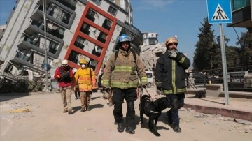 Dost patiler Türkiye'deki depremlerde dirilik kurtarma mücadelesinin ortağı oldu
