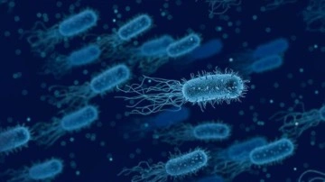 DSÖ: İnsan bedeninde antibiyotiklere hakkında kalan bakteri direnci, ahiret yolculuğu riskini artırıyor