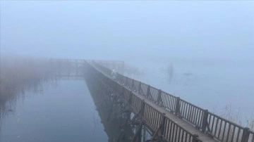Efteni Gölü Kuş Cenneti'nde sis sansasyonel oluyor