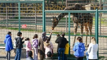 Gaziantep Hayvanat Bahçesi'nin amacı 6 milyon ziyaretçi
