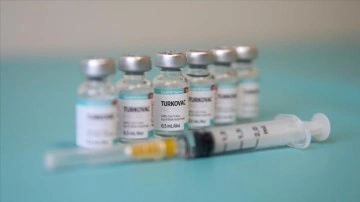 Gönüllüler domestik aşı TURKOVAC'ı güvenli buluyor