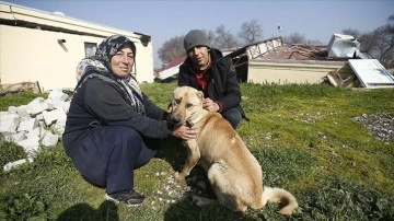 Hataylı Genco ailesini deprem gecesi köpekleri "Çilek" emin alana çıkardı