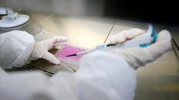Japon bilgi kullanıcılarını yaşlılıkla türeyen 'zombi hücrelere' hakkında aşı üretti