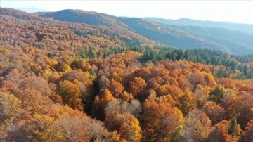 Kahramanmaraş'taki Akifiye Yaylası'na sonbaharın renkleri bilgili oldu