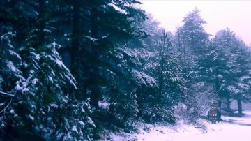 Kaz Dağları'nın efdal kesimlerinde kar yağışı başladı
