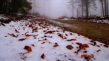Kazdağları'nın faziletkâr kesimleri kar yağışıyla beyaza büründü
