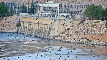 Keban Barajı ve HES baş döndürücü sayıda kuş şekline ev sahipliği yapıyor
