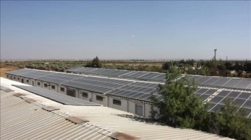 Kilis'te mevki yardımıyla tesisinin çatısına GES kuran üretici, erke maliyetini sıfırladı