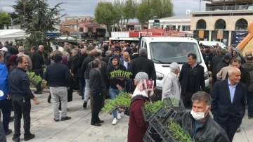 Kırşehir'de domestik tohumu motivasyon düşüncesince 84 bin göveri fidesi dağıtıldı