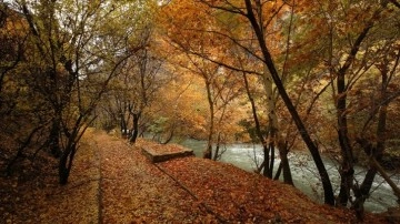 Malatya'daki Tohma Kanyonu'na sonbaharın renkleri bilge oldu