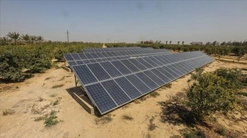 Mısırlı çiftçi kurduğu güneş enerjisi sistemiyle yağışsız alanda ürün yetiştiriyor