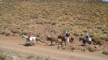 Muş'ta berivanlar hayvanlarını sağmak düşüncesince at sırtında kilometrelerce sefer büküm ediyor