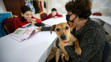 Okul müdürünün köpeği "Tarçın" engellilerin derslik arkadaşı oldu