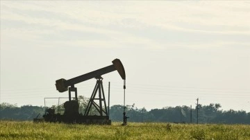 OPEC'e uyarınca global yer yağı üretimi ekimde arttı