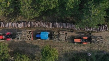 Ormanlarda görev faaliyetlerinden elde edilmiş odunlar orman köylüsüne "yakacak" oluyor