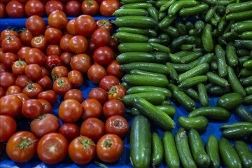 Rusya ve Ukrayna mücadelesi domates, biber ve budala fiyatını yüzdelik 30 düşürdü