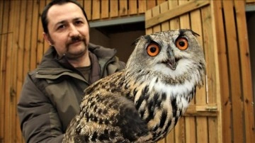 Sinop'taki özek 4 yılda 1050 yaban hayvanına ev sahipliği yaptı