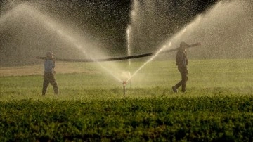 Tarımsal sulamada beğenilen elektrikte KDV'nin düşmesi çiftçinin istihsal maliyetini azaltacak
