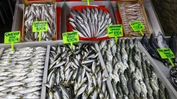 Tekirdağ'da balıkçılar poyraz dolayısıyla açılamayınca balık tutarları arttı