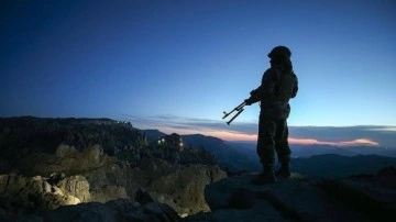 Terör örgütünden kaçan 2 PKK'lı inandırma kanalıyla teslim oldu