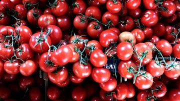Türkiye'nin 11 maaş yaş meyve sebze ihracatının tahminî 5'te 1'ini üzüm ve domates