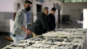 Türkiye'nin ayrımlı illerinden balıkçılar Samsun'daki mezatta buluşuyor