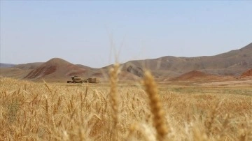 Türkiye'nin hasat sezonuna denli tam buğdayı bulunuyor