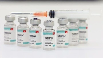 Yerli aşı TURKOVAC'a arsıulusal ilmî bölgede kabul