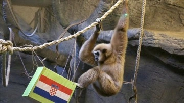 Zagreb'deki "kuracı primat Kent" Hırvatistan'ı zaman oynanacak maçın galibi seçt