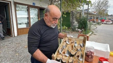 Zonguldak'ta bereketli oranda avlanan pelit lakerda namına satışa sunuluyor